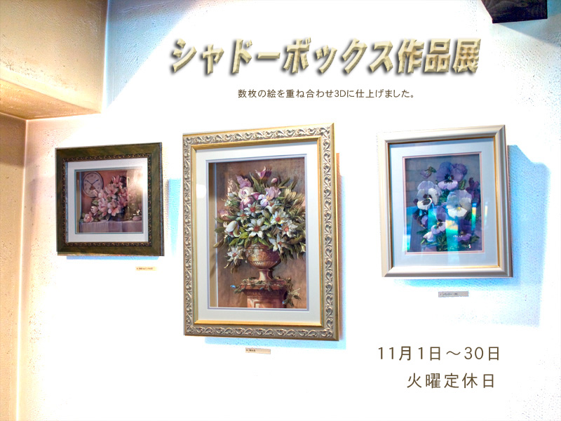 11���@�V���h�[�{�b�N�X��i�W