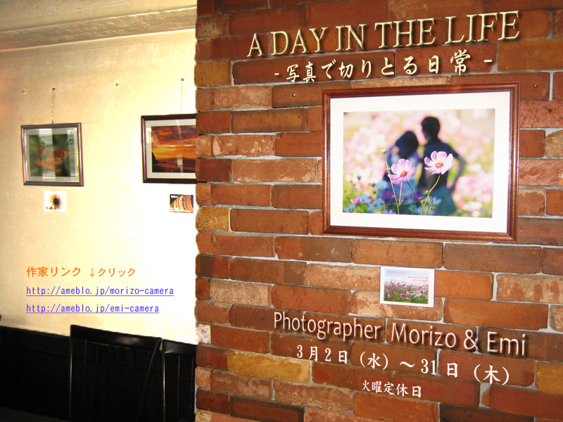 3���@�ʐ^�Ő؂�Ƃ���� �W Morizo & Emi