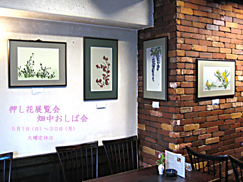 5���@�����ԓW����@���������Ή�