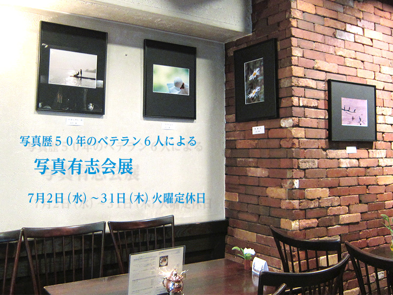 �V���@�ʐ^�L�u��W