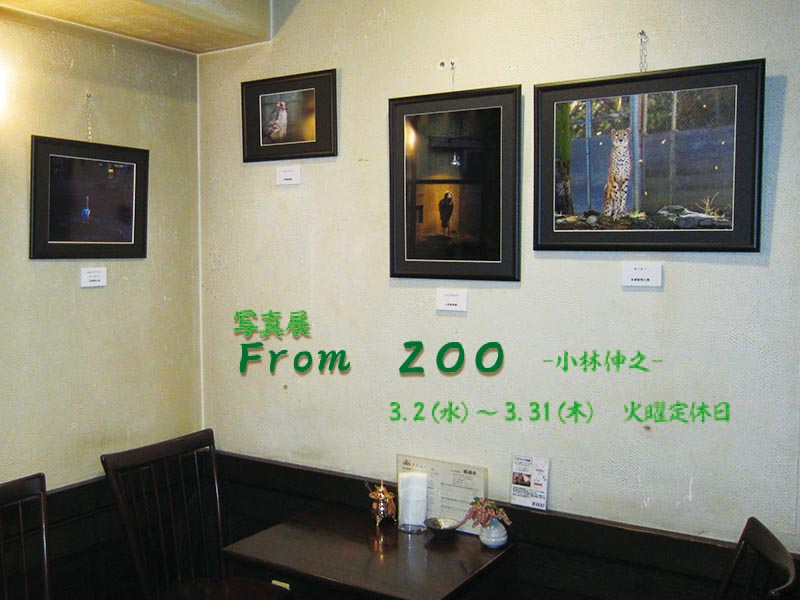 �R���@�ʐ^�W�@From ZOO -���ѐL�V-