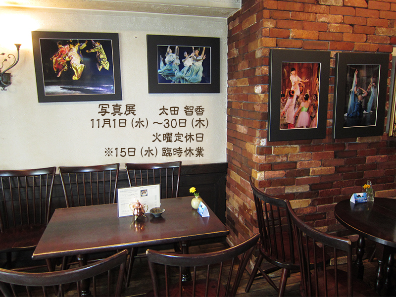 �P�P���@�ʐ^�W�@���c�q��