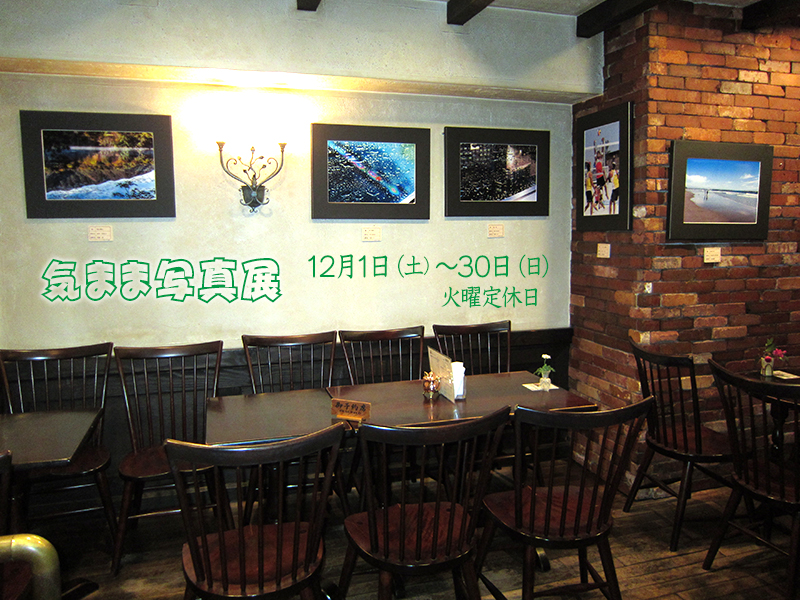 �P�Q���@�C�܂܎ʐ^�W