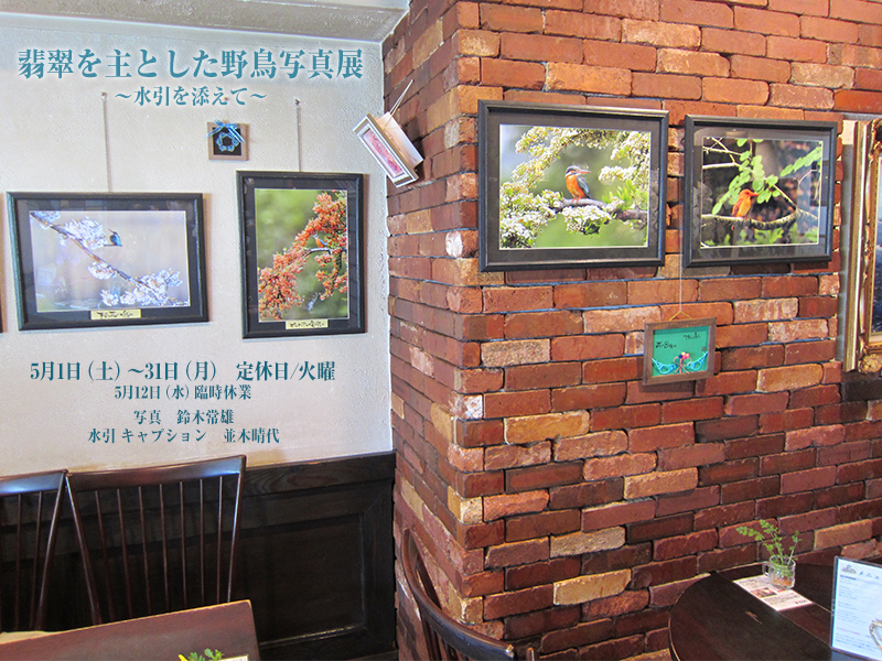 �T���@�Ő�����Ƃ����쒹�ʐ^�W�@�`������Y���ā`