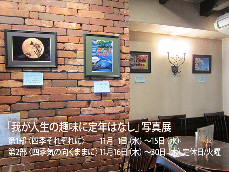 �P�P�� �u�䂪�l���̎�ɒ�N�͂Ȃ��v�ʐ^�W